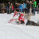 normal_27012013fmt_hornerschlitten_fm_30.JPG