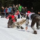 normal_27012013fmt_hornerschlitten_fm_31.JPG