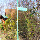 Kirchfeld1_JPG-1359307083