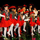 Traditioneller Rhinzigünarball