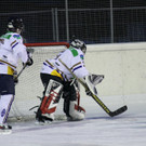 IMG_3941_jpg-1359315913