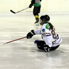 IMG_4074_jpg-1359316239