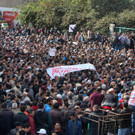IBD0929-20130127.jpg