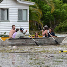 IBD0392-20130128.jpg