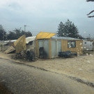 IBD0244-20130128.jpg
