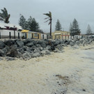 IBD0242-20130128.jpg