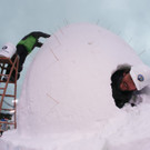 DAB3663-20130126.jpg