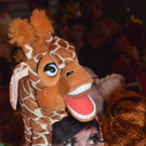 DSC_1019.jpg