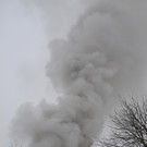 DSC_0901.JPG