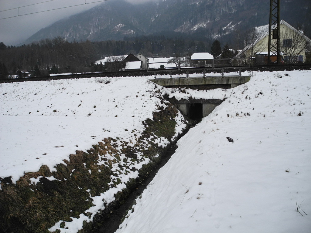 DSCN9879_JPG-1359377303
