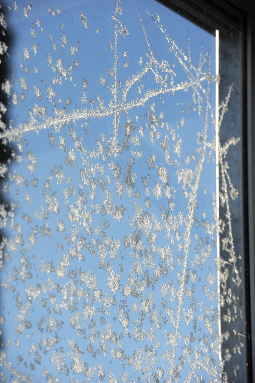 Eisblumen 26_01_2013 Foto 01.JPG