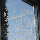 Eisblumen 26_01_2013 Foto 03.JPG