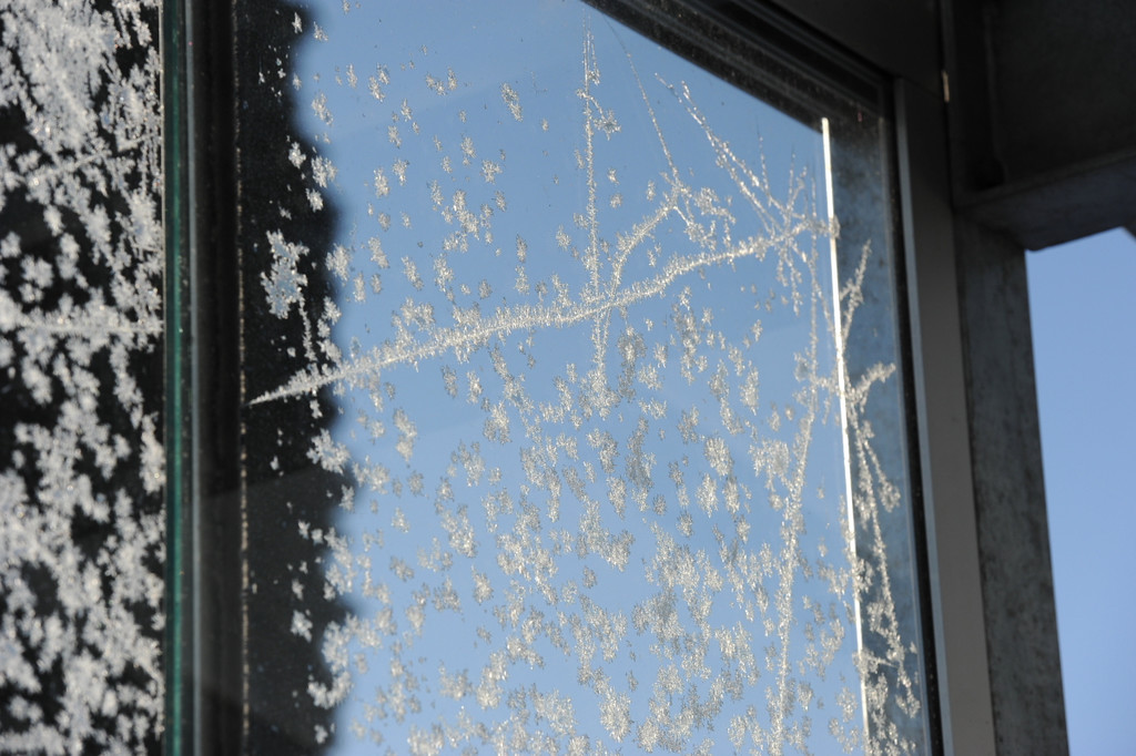 Eisblumen 26_01_2013 Foto 03.JPG
