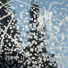 Eisblumen 26_01_2013 Foto 04.JPG