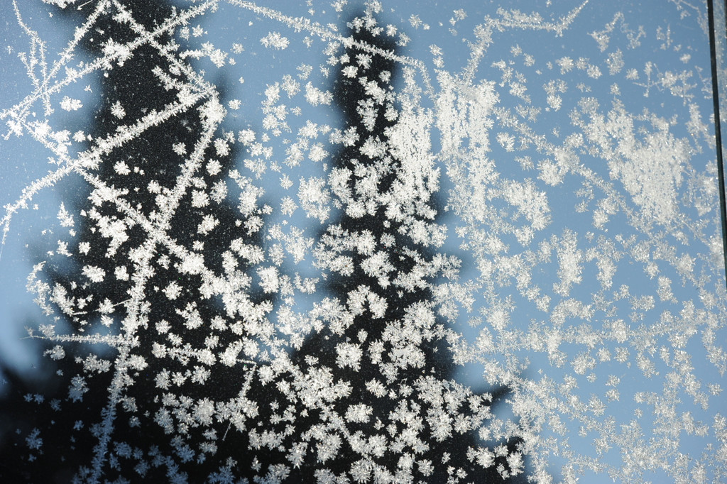 Eisblumen 26_01_2013 Foto 04.JPG