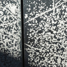 Eisblumen 26_01_2013 Foto 05.JPG