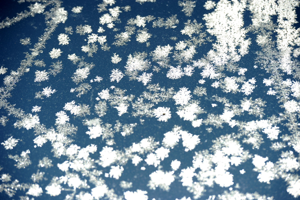 Eisblumen 26_01_2013 Foto 15.JPG
