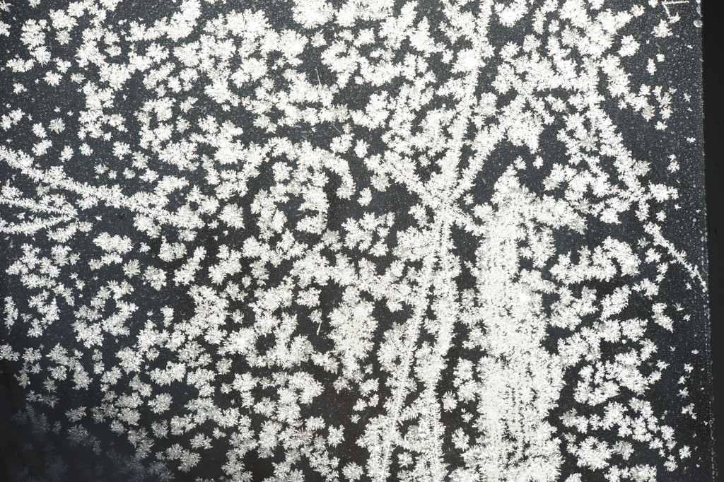Eisblumen 26_01_2013 Foto 06.JPG