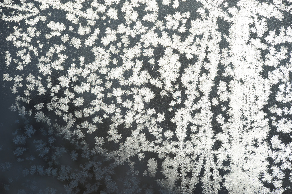 Eisblumen 26_01_2013 Foto 08.JPG