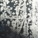 Eisblumen 26_01_2013 Foto 09.JPG