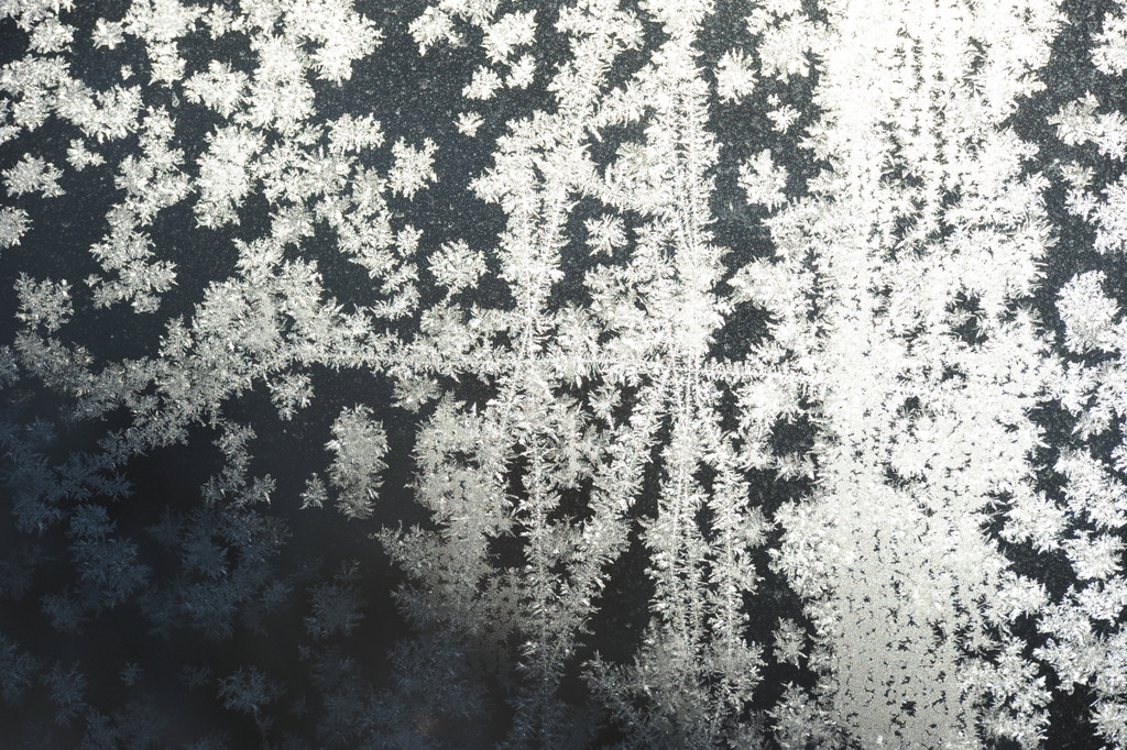 Eisblumen 26_01_2013 Foto 09.JPG