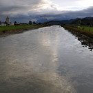 Rhesi_JPG-1359384236