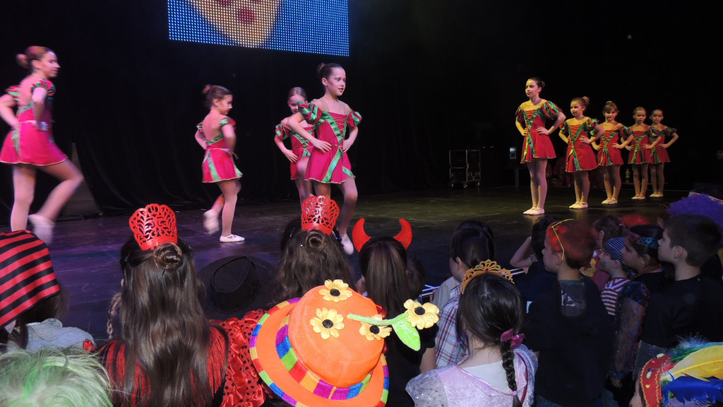 DSCN6504_JPG-1359414729