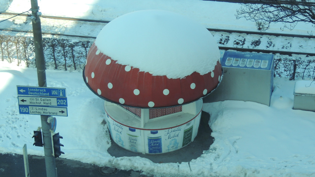 DSCN6326_JPG-1359416118