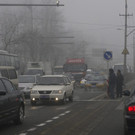 IBD0049-20130129.jpg
