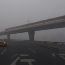 IBD0048-20130129.jpg