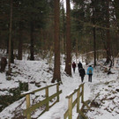 IMG_5695_jpg-1359457841