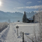 normal_29012013Winter2013at_at_02_010_08.JPG