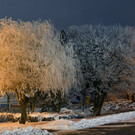 normal_29012013Winter2013at_at_02_010_12.JPG