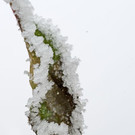normal_29012013Winter2013at_at_02_010_14.jpg
