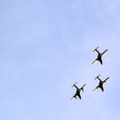 ABD0004-20130131.jpg