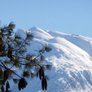 30012013schneebergeat05007aktivnews_11.jpg