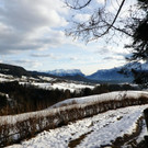 30012013schneebergeat05007aktivnews_14.jpg