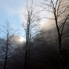 Tauwetter in OÖ I