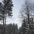 30012013winterextremat02007aktivnews081.jpg