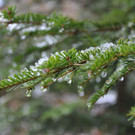 30012013winterextremat02007aktivnews069.jpg