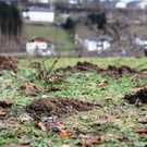 30012013wintervorbeiat02008aktivnews01.JPG