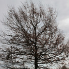 30012012tempsprungde_04_002aktivnews__15_.JPG