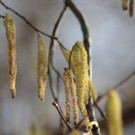 30012012tempsprungde_04_002aktivnews__55_.JPG