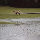 30012012tempsprungde_04_002aktivnews__6_.JPG