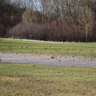 30012012tempsprungde_04_002aktivnews__7_.JPG