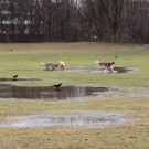 30012012tempsprungde_04_002aktivnews__2_.JPG
