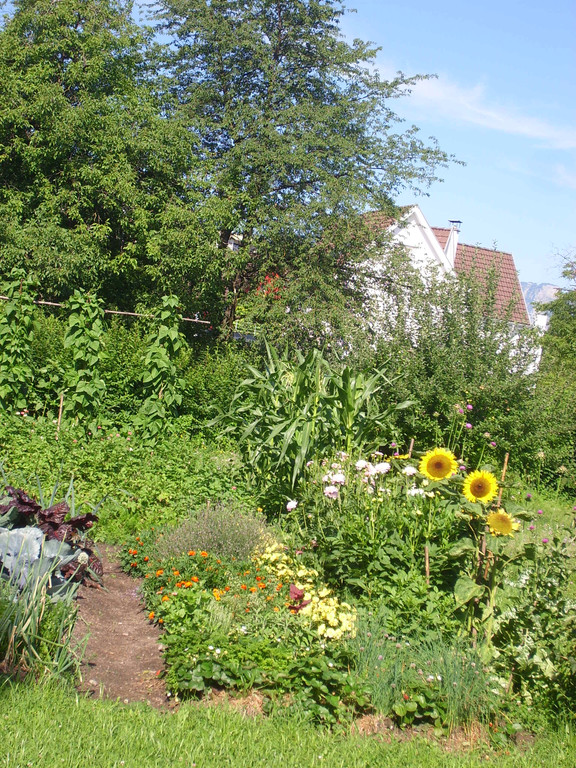 Erntedank 001_JPG-1359668996