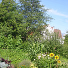 Erntedank 001_JPG-1359669649