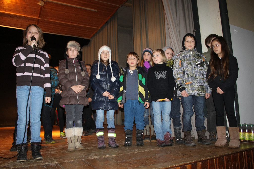 Fasching BGM Absetzung 2013 _27__jpg-1359794683