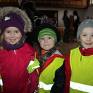 Fasching BGM Absetzung 2013 _23__jpg-1359794664